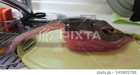 さばき終えたアカエイの下処理と水産食材 さばき終えたアカエイの下処理と水産食材 143905788