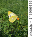 タイミング 143906456