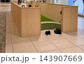 商業施設内にある木製のキッズスペース 143907669