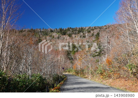 磐梯吾妻スカイラインの紅葉狩り　スカイラインの晩秋の風景 143908980