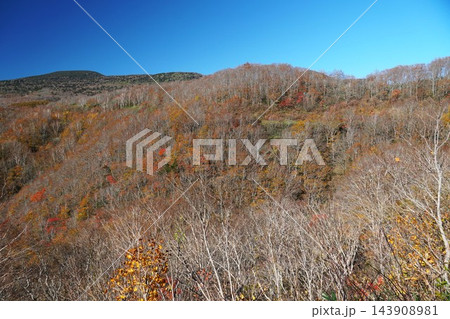 磐梯吾妻スカイラインの紅葉狩り　国見台より望む晩秋の風景 143908981