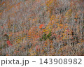 磐梯吾妻スカイラインの紅葉狩り　国見台より望む晩秋の風景 143908982