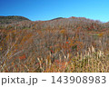 磐梯吾妻スカイラインの紅葉狩り　国見台より望む晩秋の風景 143908983