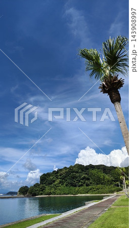 南国リゾートのような夏空とヤシの木と海岸線の景観 南国リゾートのような夏空とヤシの木と海岸線の景観 143908997