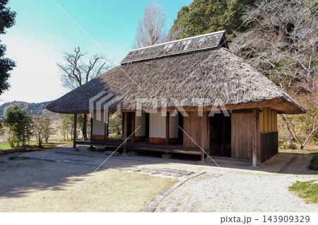 早春の伊藤公記念公園 143909329