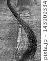 Black tire mark on race track from race car burnout skid mark, Skid marks on asphalt road surface, Curved black tire skid marks. 143909334
