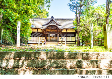 【重要伝統的建造物群保存地区】笠島　尾上神社の初夏の風景　香川県丸亀市本島 143909511