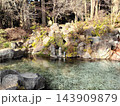 霧島神宮の境内に広がる澄んだ神池と自然風景 143909879