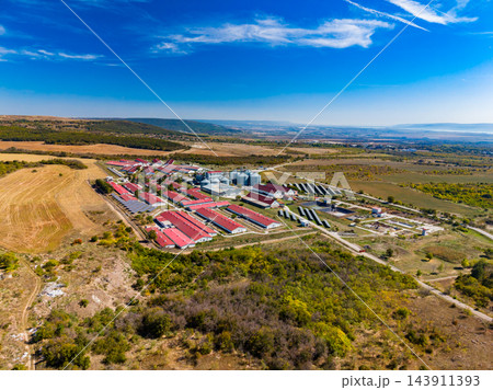 Aerial view of a livestock farm with red-roofed barns, feed silos, and fields in a rural landscape 143911393