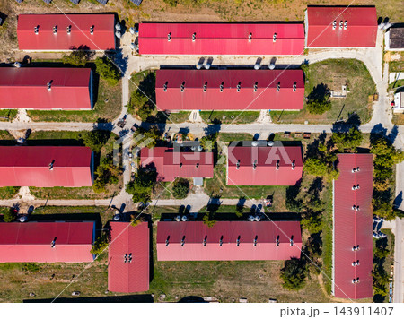 Aerial view of a farm complex with red-roofed barns, paths, and surrounding fields in daylight 143911407