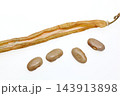 成熟し乾燥したインゲンマメ 成熟し乾燥したインゲンマメ 143913898