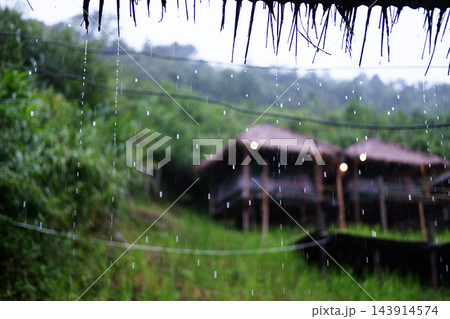 Raindrops falling from the edge of a thatched roof during a tropical downpour in blurry background of cozy wooden cabin bungalow nestled in a lush green mountain forest of resort in Thailand 143914574