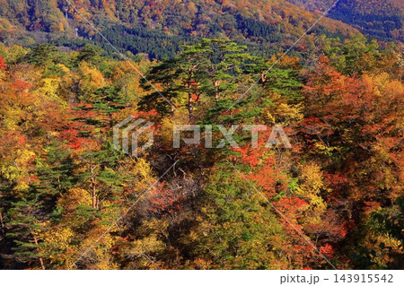 紅葉する山々 143915542