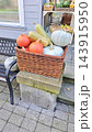 Woven basket filled with colorful pumpkins, gourds, squash, and pale blue vegetables beside a garden shop window and outdoor produce display on stone paving in an autumn harvest arrangement 143915950