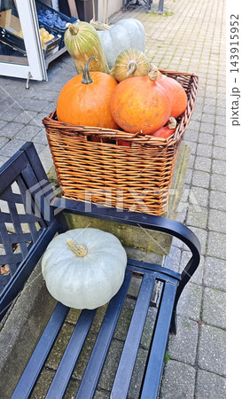 Assorted orange, pale green, and blue pumpkins arranged in a woven basket beside a single white pumpkin on an outdoor market bench near a paved walkway Assorted orange, pale green, and blue pumpkins arranged in a woven basket beside a single white pumpkin on an outdoor market bench near a paved walkway 143915952