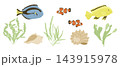 Hand drawn marine life illustration with colorful fish, seaweed, shells, coral forms, and aquatic plants arranged across a white background as an underwater collection 143915978