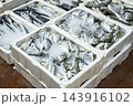 Fresh Gilthead Seabream Fish on Ice in a Foam Box. 143916102