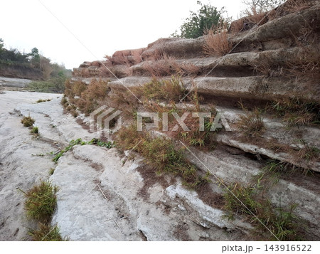 Terraced sandstone cliffs, weathered layers, dry grass tufts, interspersed green plants, natural outdoor setting. 143916522