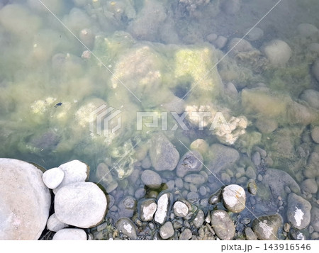 Smooth river pebbles and larger boulders lie under clean water. Patches of bright green algae cling to submerged rocks in natural stream. Smooth river pebbles and larger boulders lie under clean water. Patches of bright green algae cling to submerged rocks in natural stream. 143916546