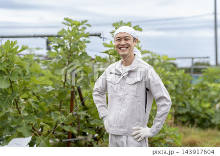 いちじく畑に立つカメラ目線で笑顔の農家の男性 いちじく畑に立つカメラ目線で笑顔の農家の男性 143917604