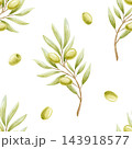 Sunny olive branches with ripe fruits and leaves watercolor seamless pattern on white. Mediterranean botanical plant repeat background in pastel green color for organic oil hand drawn designs 143918577