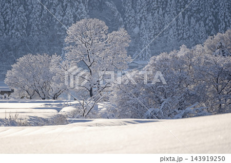 銀世界・雪景色の蒜山高原 143919250