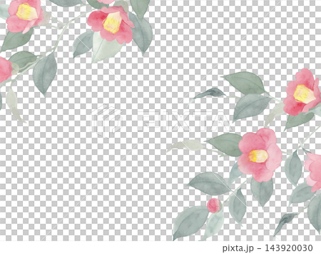 一幅水彩山茶花畫框 143920030