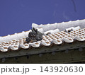 沖縄のシーサーと赤瓦 沖縄のシーサーと赤瓦 143920630