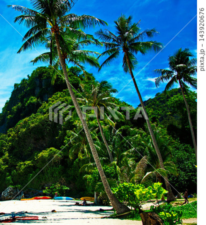 beautiful tropical beach sea and sand with coconut palm tree on blue sky and white cloud beautiful tropical beach sea and sand with coconut palm tree on blue sky and white cloud 143920676