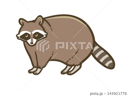 アライグマのイラスト|特定外来生物・野生動物 アライグマのイラスト|特定外来生物・野生動物 143921778