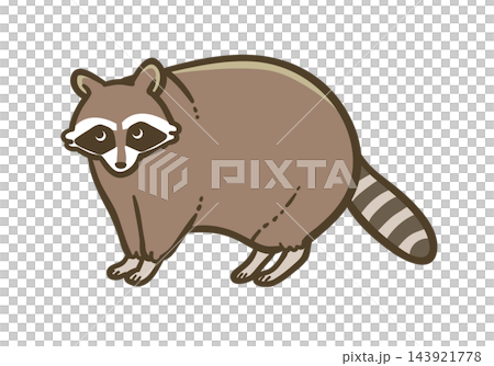 アライグマのイラスト|特定外来生物・野生動物 アライグマのイラスト|特定外来生物・野生動物 143921778