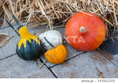 Orange, green, yellow fresh pumpkins on the street. Autumn nature background for Halloween decoration or cookin. Vegetables market. Orange, green, yellow fresh pumpkins on the street. Autumn nature background for Halloween decoration or cookin. Vegetables market. 143922203