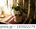 ランプの灯りと観葉植物のある室内 143922278