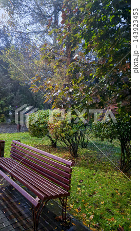 Wet wooden tables and benches in autumn park covered with fallen leaves after rain Wet wooden tables and benches in autumn park covered with fallen leaves after rain 143923453