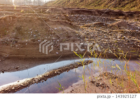 Golden hour light over raw sandy terrain of abandoned quarry with puddles and sparse reeds, rough industrial wasteland landscape nature scene 143925127