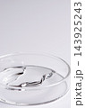 Testing a transparent cosmetic product in a Petri dish. Copy space 143925243