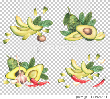 Avocado with hot chili peppers and garlic, whole and cut fruits, halves slices and leaves. Hand painted realistic watercolor botanical illustration set isolated on white for recipes and food packaging Avocado with hot chili peppers and garlic, whole and cut fruits, halves slices and leaves. Hand painted realistic watercolor botanical illustration set isolated on white for recipes and food packaging 143926551