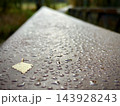 Rain droplets covering a textured outdoor surface with fallen leaf in soft light 143928243