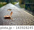 Fallen brown leaf with water droplets on a dark wet outdoor surface 143928245