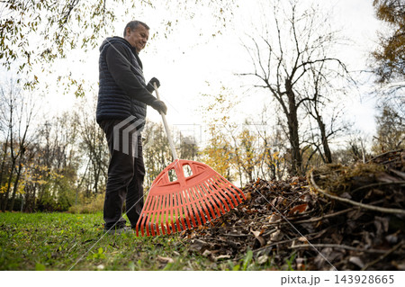 Mature man raking fallen leaves in autumn garden Mature man raking fallen leaves in autumn garden 143928665