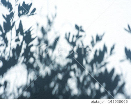Natural tree leaf shadow reflected on white wall background, aesthetic minimal concept. Natural tree leaf shadow reflected on white wall background, aesthetic minimal concept. 143930066