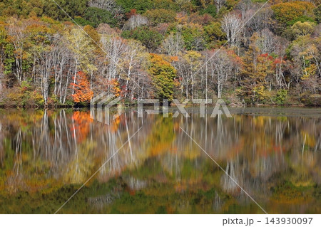 水面に映り込む紅葉の木々の秋景色（長野県戸隠の鏡池） 143930097
