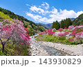 長野県阿智村　花桃の里 143930829