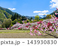 長野県阿智村　花桃の里 143930830