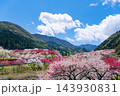 長野県阿智村　花桃の里 143930831