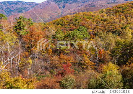 紅葉の木々が広がる山の斜面 紅葉の木々が広がる山の斜面 143931038