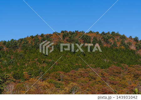 紅葉の木々が広がる山の斜面 143931042