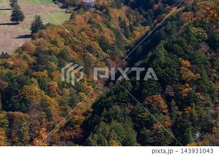 紅葉の木々が広がる山の斜面 紅葉の木々が広がる山の斜面 143931043