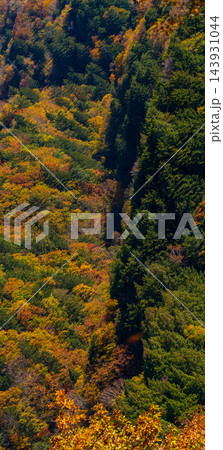 紅葉の木々が広がる山の斜面 紅葉の木々が広がる山の斜面 143931044