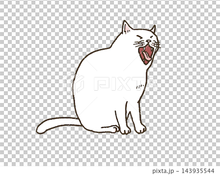 A white cat yawns with its mouth wide open. A white cat yawns with its mouth wide open. 143935544